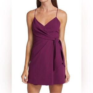 Alice + Olivia Purple Ruched Tie Front Mini Dress